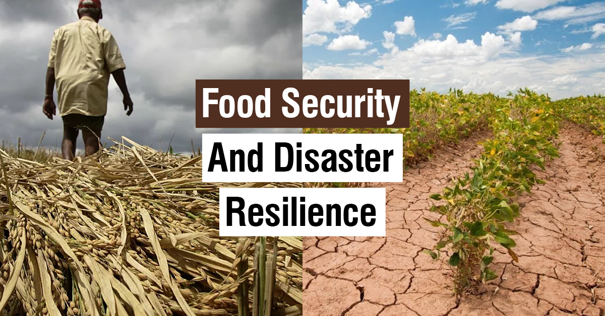 Hydroponics and the Future of Food: Building Resilient, Sustainable Agriculture