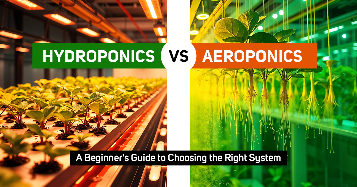 Hydroponics vs Aeroponics: A Beginner's Guide to Choosing the Right System