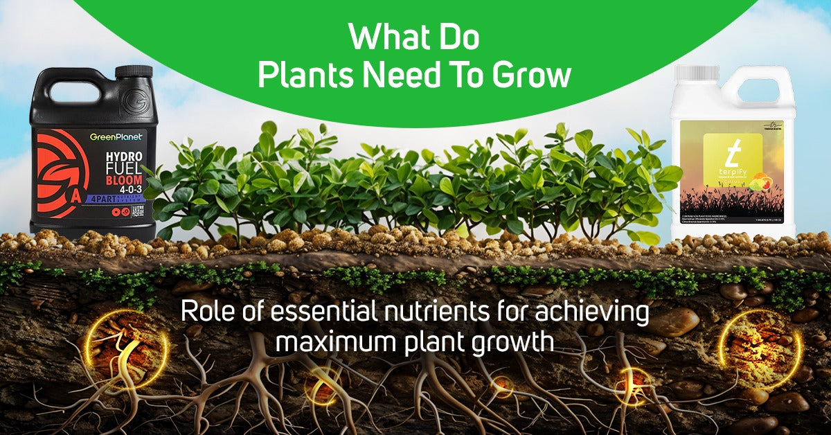 What do plants need to grow: Role of Essential Nutrients for achieving maximum Plant growth