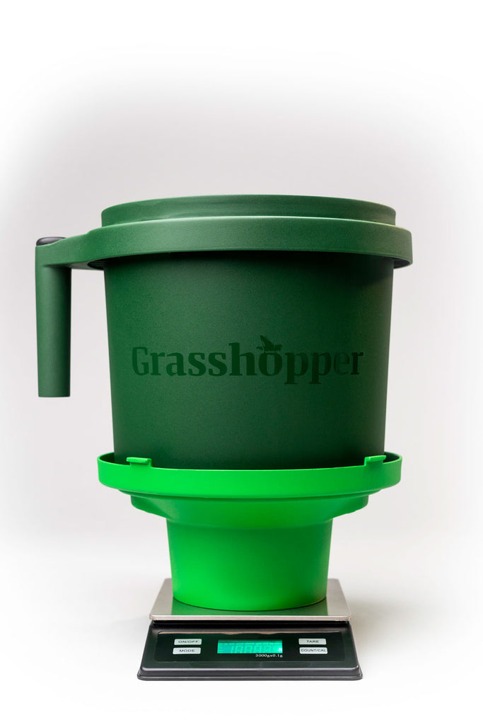 GRASSHOPPER