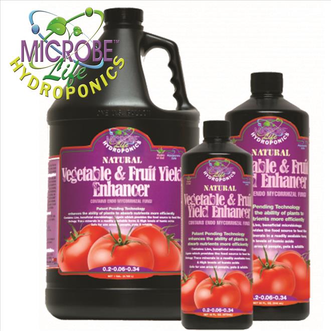  MICROBELIFEVEG_FRUITYIELD