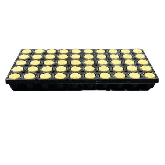 REDROCK ROUND PROPAGATION PLUG PRO