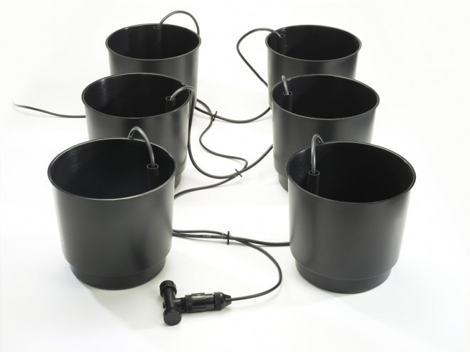 Eco Growing System