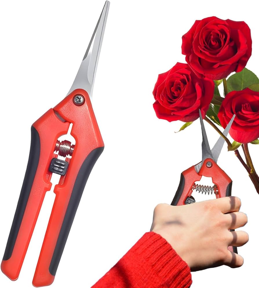Bonsai Gardening Curved Tree Bypass Flower Garden Scissors for Pruning and Care