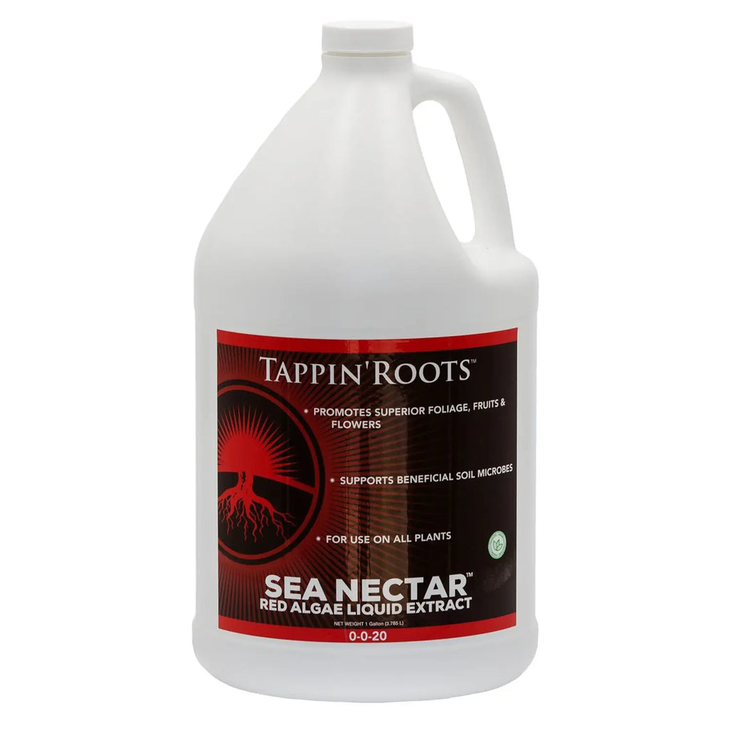TAPPIN ROOTS SEA NECTAR RED ALGAE