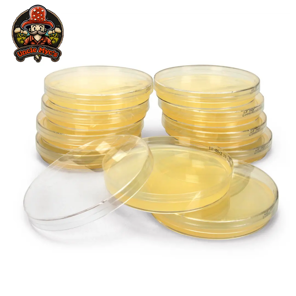 Uncle Myc's Agar Plates. Case of 12 Packs of 6.