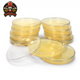 Sticky Image