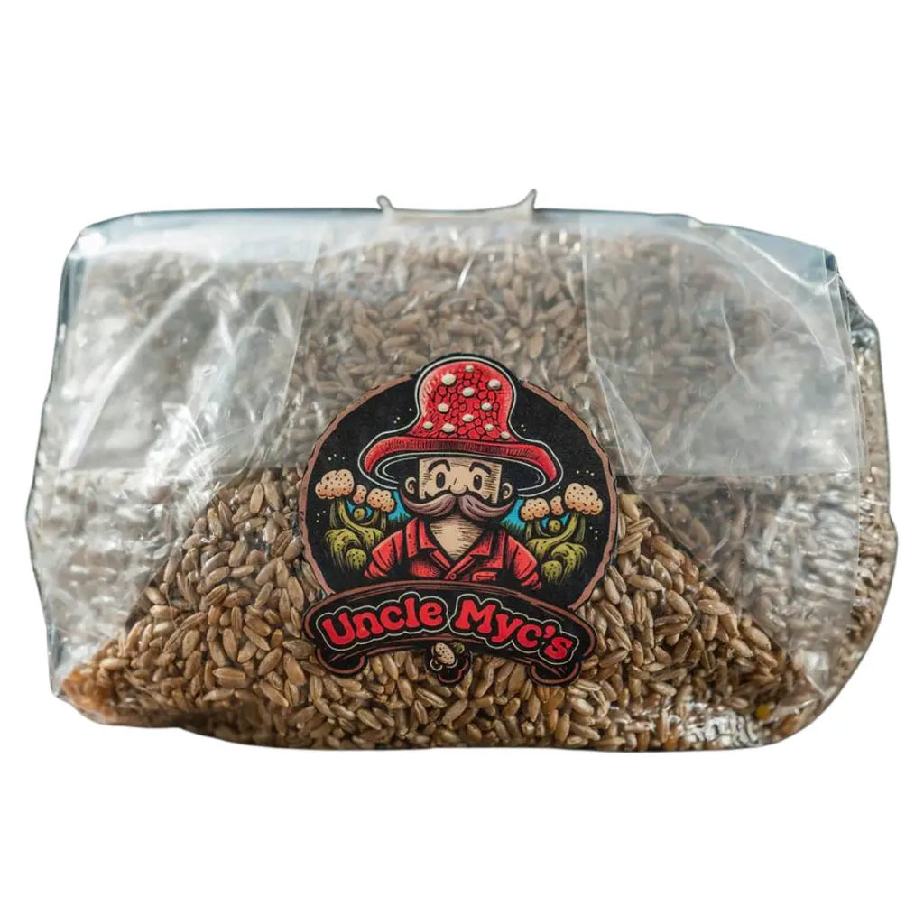 Uncle Myc's Grain Spawn Rye