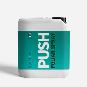 VEG+BLOOM PUSH