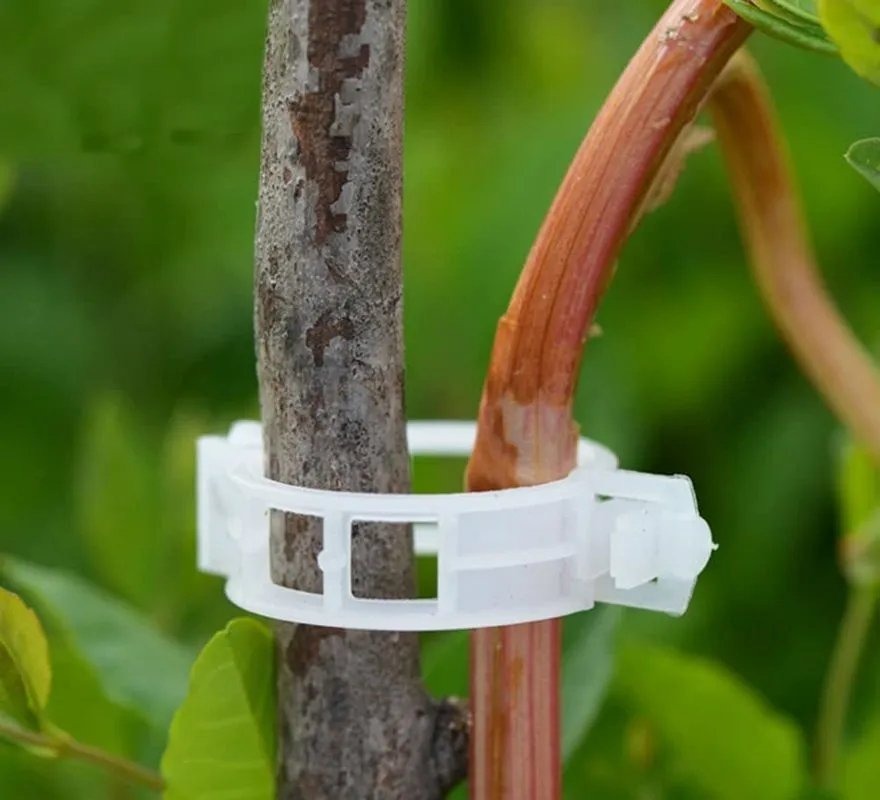 Suspender Clip